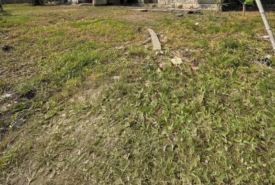 1323sqm Land, South West, Ikoyi, Lagos, Land Joint Venture