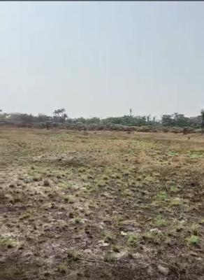 500sqm Dry Land, Ode Omi, Ibeju Lekki, Lagos, Residential Land for Sale