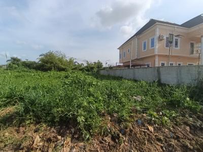 Half Plot of Land in a Very Decent Area at Ikola Command Lagos 7m, Ipaja Command Lagos, Ipaja, Lagos, Mixed-use Land for Sale