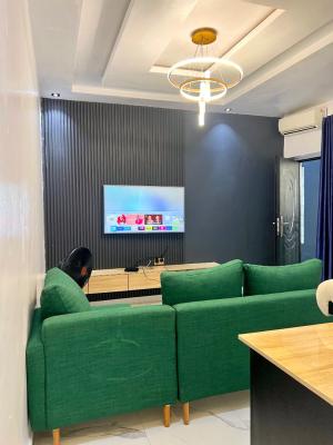 Very Neat 1 Bedroom Apartment, 14, Arikewuyo Strewt, Ilupeju, Lagos, Flat / Apartment Short Let