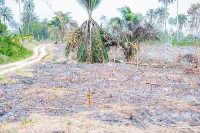 Affordable Plots of Mixed-use Land, Bethel Ridge Estate, Ibefun, Ikorodu Epe Express Way, Ijebu East, Ogun, Mixed-use Land for Sale