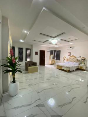 Furnished 5 Bedroom Fully Detached Duplex, Chevron Drive, Lekki, Lagos, Detached Duplex for Rent