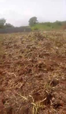 640 Sqm of Land, Abule-ado, Amuwo Odofin, Lagos, Land for Sale