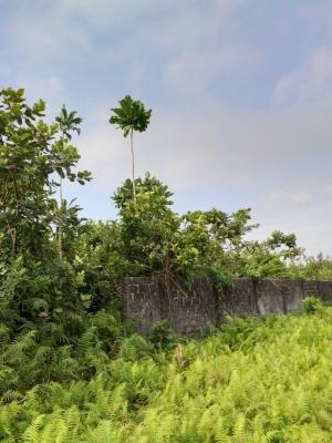 1,524.58 Smq of Land, Asokoro District, Abuja, Residential Land for Sale