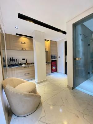 Luxury Furnished Studio Apartment, Ikate, Lekki, Lagos, Flat / Apartment for Rent