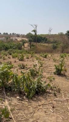 Prime 256sqm Land, Maitama 2, Maitama District, Abuja, Residential Land for Sale