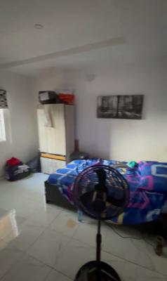 Standard Spacious One Bedroom Apartment, Ilupeju, Lagos, Mini Flat (room and Parlour) for Rent
