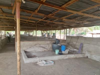 7 Acres Livestock Farm Land, Olojede Village Lagun Area Iyalan Ofa, Ibadan, Oyo, Commercial Land for Sale