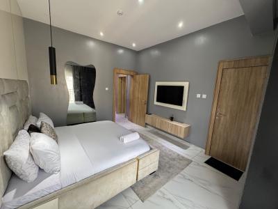 a Brand New Furnished and Serviced 2 Bed in Lekki 1., Central Lekki Phase 1., Lekki Phase 1, Lekki, Lagos, Flat / Apartment for Rent