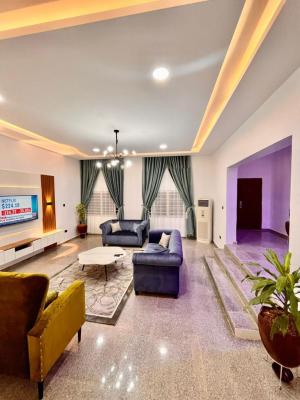 Fully Furnished 8-bedroom Duplex, Wuse 2, Abuja, Detached Duplex for Rent