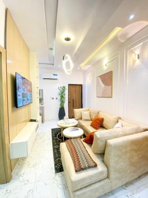 Luxury 2 Bedroom Apartment with Excellent Facility, Chevron Drive, Lekki, Lagos, Flat / Apartment for Rent