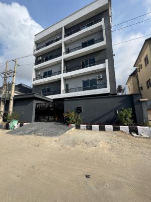 Decently Sized 2 Bedroom Apartment  with Swimming Pool, Decently Sized 2 Bedroom Apartment  with Swimming Pool, Ikate, Lekki, Lagos, Flat / Apartment for Sale