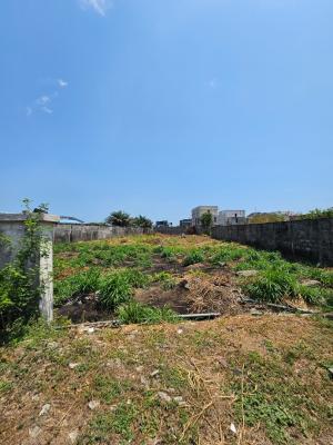 2000 Sqm of Dry Land  Directly Facing The Express Road, Lekki, Lagos, Land for Sale