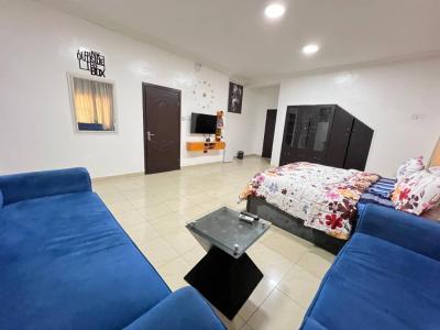 a Fully Furnished and Specious Studio Apartment in Lekki Phase 0ne, Off Admiralty Road, Lekki Phase 1, Lekki, Lagos, Flat / Apartment for Rent