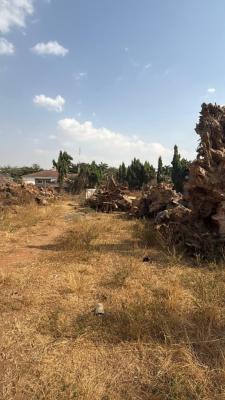 6,377sqm Commercial Plot, in a Strategic Location, Jabi, Abuja, Commercial Land for Sale