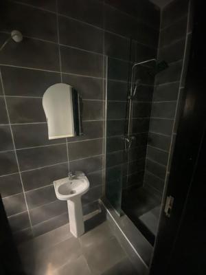 Brand New Fully Serviced Mini Flat with Double Toilet., Salem, Ikate(behind Blenco Supermarket), Lekki, Lagos, Mini Flat (room and Parlour) for Rent