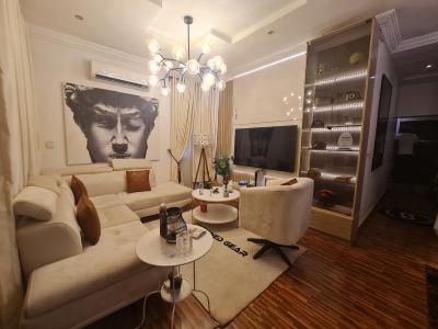 Super Luxury Expatriate Standard 2bedroom Apartment at Lekki for 9m, Lekki Phase 1 Right Elf Right Side, Lekki Phase 1, Lekki, Lagos, Flat / Apartment for Rent