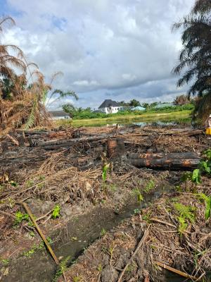 a Plot of Land, Greenlite Estate Alatise, Ibeju Lekki, Lagos, Residential Land for Sale