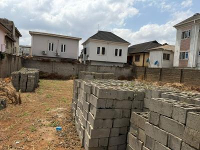 a Well Shaped Plot of Land Fenced and Gated in a Gated Estate/street, Gated Street/estate, Off Social Club Road, Abule Egba, Agege, Lagos, Mixed-use Land for Sale