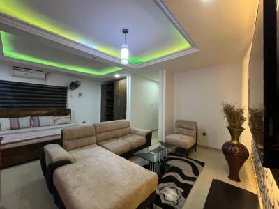 Luxury Furnished and Serviced Room and Parlour, House 54, 21 Road Off 2nd Avenue, Gwarinpa, Abuja, Mini Flat (room and Parlour) for Rent