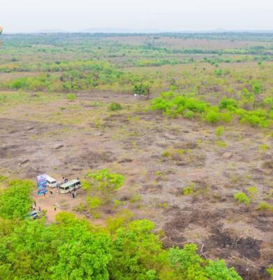 Acres & Hectares of Plantain Plantation Farmlands in Odeda Lga, Odeda, Ogun, Land for Sale