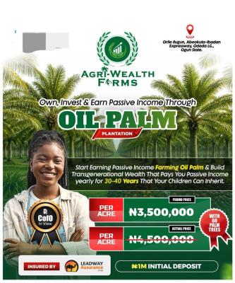 Oil Palm Farm, Oilpalm Plantation  Located at Ibadan Orílé-ilugun, Abeokuta South, Ogun, Commercial Land for Sale