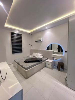 Furnished 2 Bedroom Apartment with Bq, Ikate, Lekki Phase 1, Lekki, Lagos, Flat / Apartment for Rent