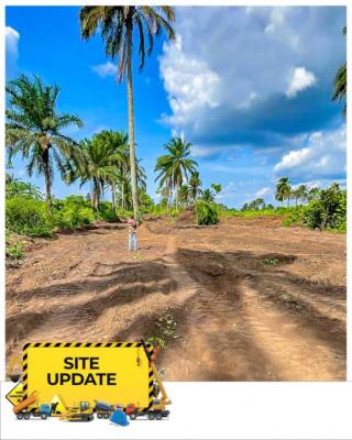 C of O Land with Accessible Road Network, Landview City Phase Two Very Close to Ariaria International Market, Aba, Abia, Residential Land for Sale