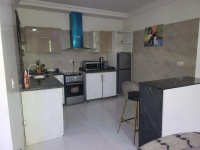 Serviced and Furnished 2 Bedroom Apartment, Lekki Phase 1, Lekki, Lagos, Flat / Apartment for Rent