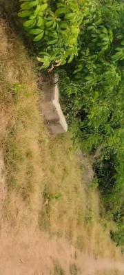 Land of About 450sqm in a Good Location, Ajia, Egbeda, Oyo, Mixed-use Land for Sale