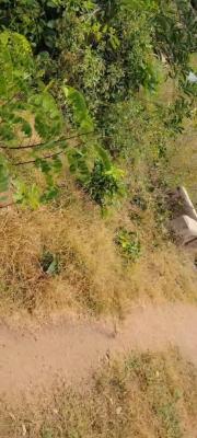 Land of About 450SQM in a Good Location