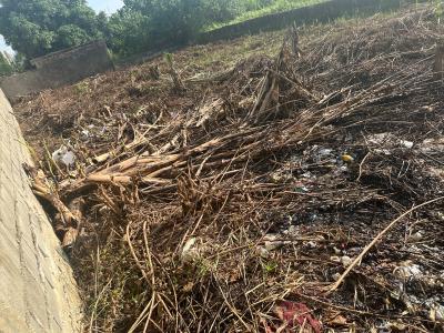 Buildable Plot in a Secured Residential Estate, Journalist Estate Phase 1, Berger, Arepo, Ogun, Residential Land for Sale