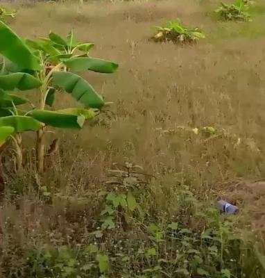 7 Plots of Land, Ibeju Lekki, Lagos, Residential Land for Sale