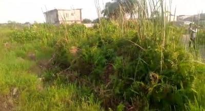 4 Plots of Land, Imalete Alafia, Ibeju Lekki, Lagos, Mixed-use Land for Sale