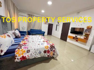 Furnished 1 Room & Parlour + 24hrs Power, Off Admiralty, Lekki Phase 1, Lekki, Lagos, Mini Flat (room and Parlour) for Rent