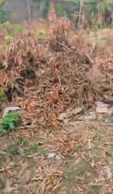 Dry/table Land Measuring 56ft By 110ft Sqm (fenced and Gated)  Locatio, Peace Estate, Along Lasu Isheri Road (inside a Mini Estate), Alimosho, Lagos, Residential Land for Sale