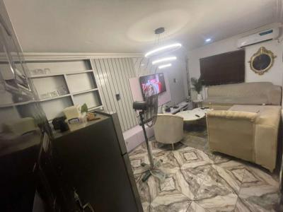 Fully Furnished Standard 1 Bedroom Spacious Apartmentt, Badore, Ajah, Lagos, Mini Flat (room and Parlour) for Rent
