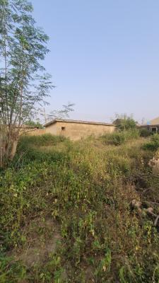 Fenced and Gated Parcel of Land, Alafia Street, Directly Opposite Liberty Academy School Off Akala Expr, Ibadan, Oyo, Land for Sale