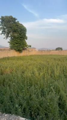 1300sqm Commercial Land in Jahi on a Tarred Road, Jahi, Abuja, Commercial Land for Sale
