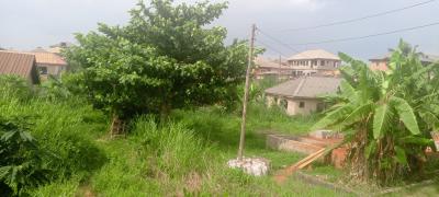 Half Plot of Land with Foundation Near Bus Stop, Short Drive From Arepo, Very Close to Ascon Bus Stop, Ibafo, Ogun, Mixed-use Land for Sale
