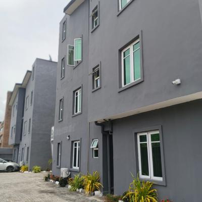 Semi Direct, Serviced 2 Bedroom Flat, Ologolo, Lekki, Lagos, Flat / Apartment for Rent