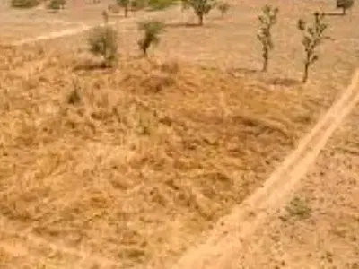 800SQM Land Affordable Plots of Residential Estate Land