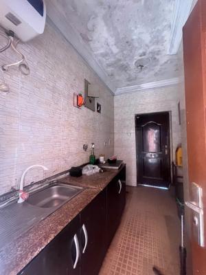 2 Bedroom Flat, Peninsula Garden Estate, Sangotedo, Ajah, Lagos, Flat / Apartment for Rent