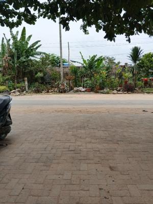 Ry, Ikeja Gra, Ikeja, Lagos, Detached Duplex for Rent