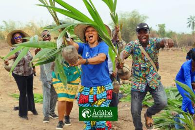 Coconut Investment, Obafemi Owode, Mowe Ofada, Ogun, Mixed-use Land for Sale