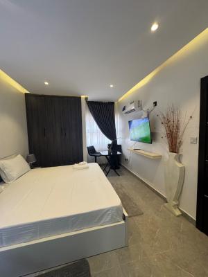 Lovely Studio Apartmnt in Ikoyi, Awolowo Road, Ikoyi, Lagos, Self Contain (single Rooms) Short Let