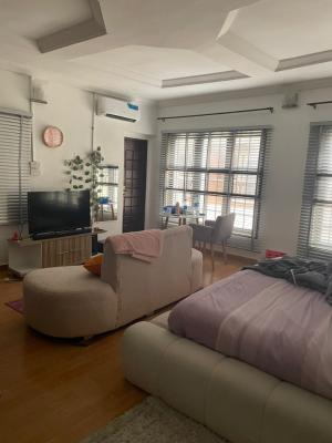 Beautiful Massive Studio Selfcontain in Lekki Phase 1, Ikate Lekki Phase 1, Lekki Phase 1, Lekki, Lagos, Self Contain (single Rooms) for Rent