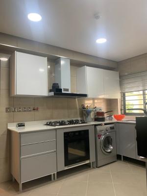 Serviced with 24/7 Power Supply 2 Bedroom En-suite Flat with an Enclos, Ikoyi, Lagos, Flat / Apartment for Rent