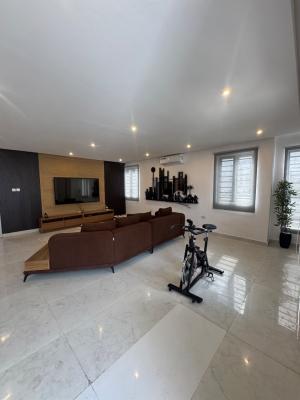 Fully Furnished Two (2) Bedroom Apartment, Ikate, Lekki, Lagos, Flat / Apartment for Rent