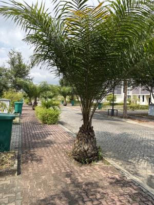 Luxury One Bedroom Furnished Loft, Lakowe Lakes and Golf Resort, Lakowe, Ibeju Lekki, Lagos, Terraced Duplex for Rent